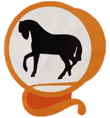 Caballo Negro